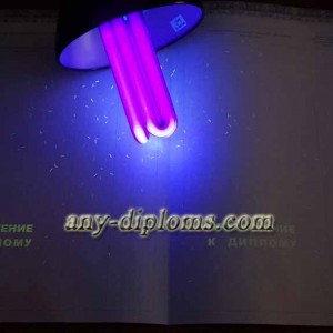 Диплом магистра 2014-2017 год (Киржач)