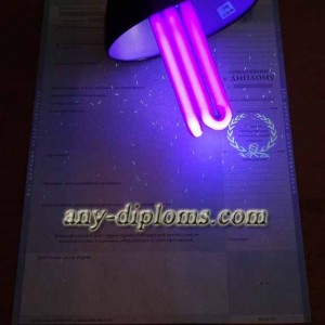 Диплом бакалавра 1997-2003 год