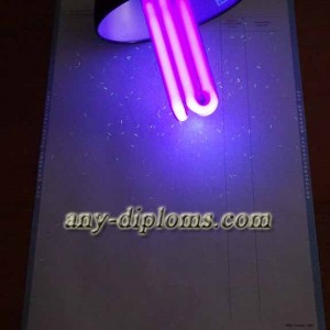 Диплом бакалавра 1997-2003 год