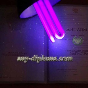 Диплом магистра 1997-2003 год