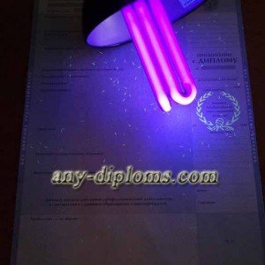 Диплом магистра 1997-2003 год