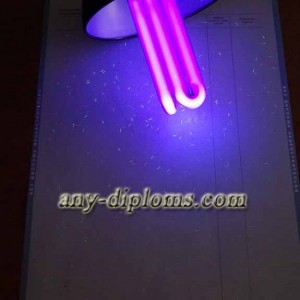 Диплом магистра 1997-2003 год