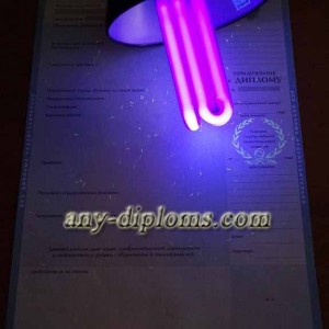 Диплом специалиста 2004-2010 год