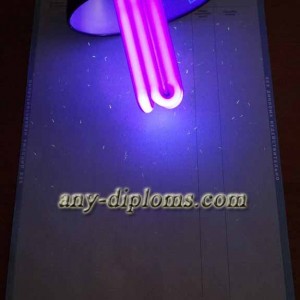 Диплом специалиста 2004-2010 год