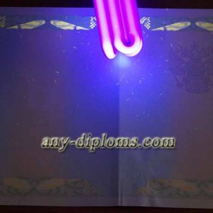 Диплом бакалавра 2004-2010 год