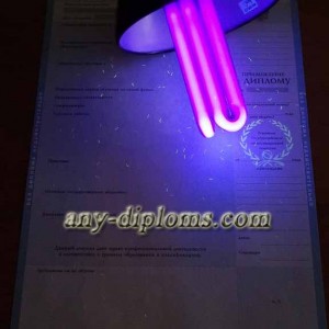 Диплом бакалавра 2004-2010 год