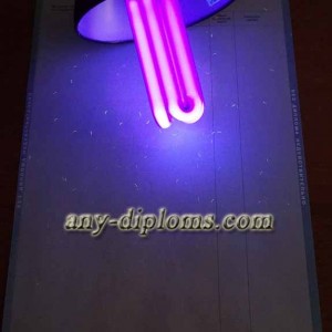 Диплом бакалавра 2004-2010 год