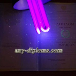 Диплом магистра 2004-2010 год