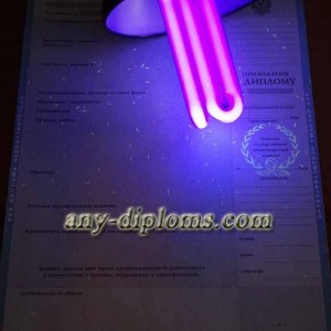 Диплом магистра 2004-2010 год