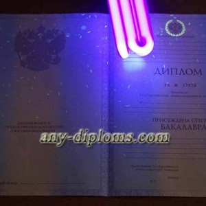 Диплом бакалавра 2011-2013 год