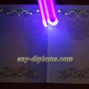 Диплом бакалавра 2011-2013 год