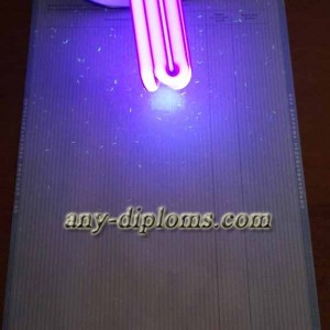 Диплом бакалавра 2011-2013 год