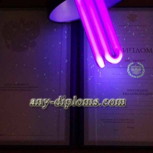 Диплом специалиста 1996 год