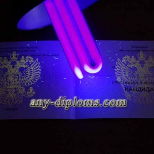 Диплом кандидата наук 2010 год