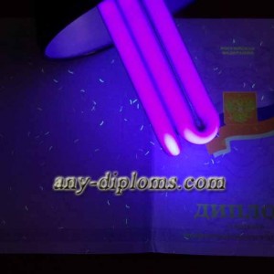 Диплом среднее профессиональное образование 2011-2013 год