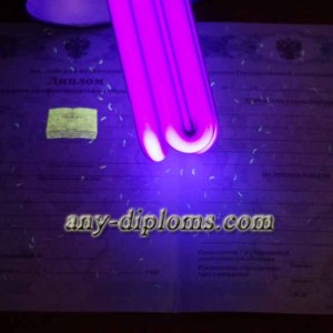 Диплом среднее профессиональное образование 2011 год