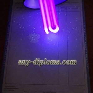 Диплом среднее профессиональное образование 2011 год