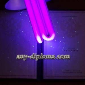 Диплом среднее профессиональное образование 1997 год