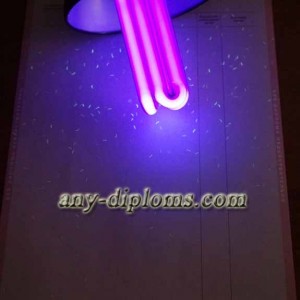 Диплом среднее профессиональное образование 1997 год