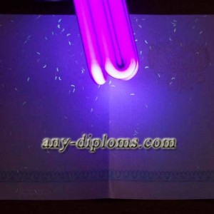 Диплом среднее профессиональное образование 2002 год