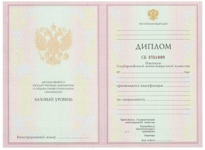 Диплом техникума – колледжа 2004-2009 г.